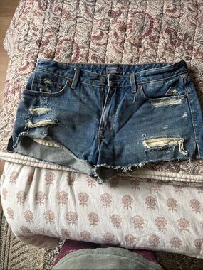 Abercrombie & Fitch Blue Distressed Denim Cutoff Shorts